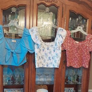 Altar'd State Blue, White & Red Floral Crop Top Trio